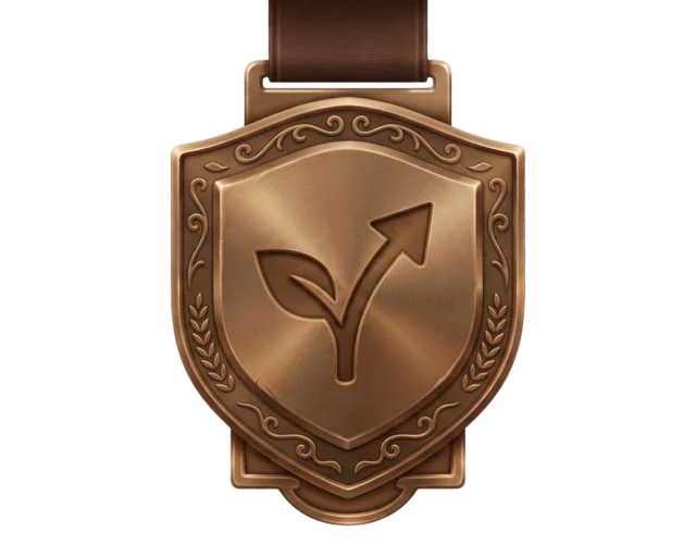 Bronze rank badge